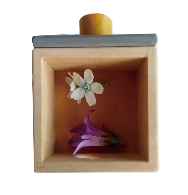 ”小さな太陽シリーズ” クリエイティブ・チェスト